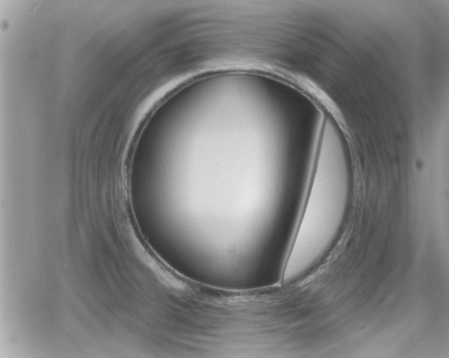 X0000066951380200603240859