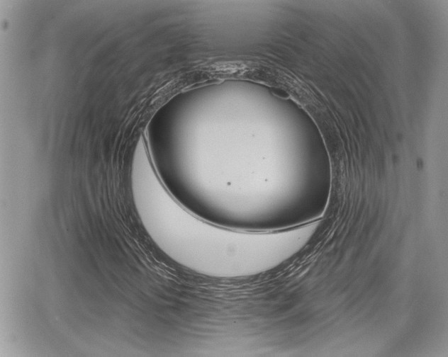 X0000066951394200603240858