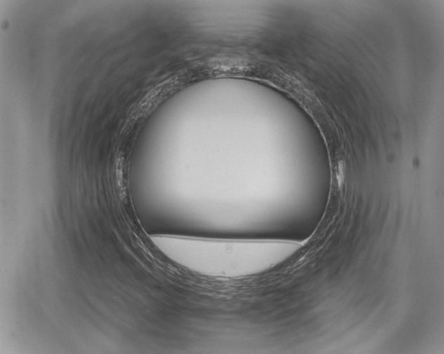 X0000066951396200603240859