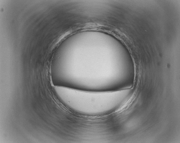 X0000066951401200603240859