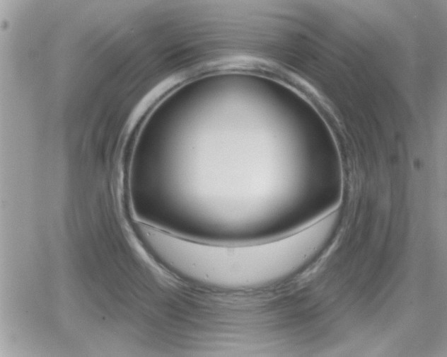 X0000066951418200603240859