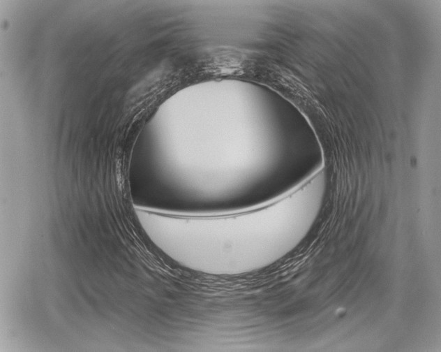 X0000066951442200603240858