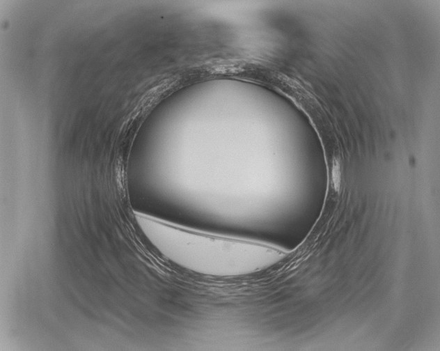 X0000066951444200603240858