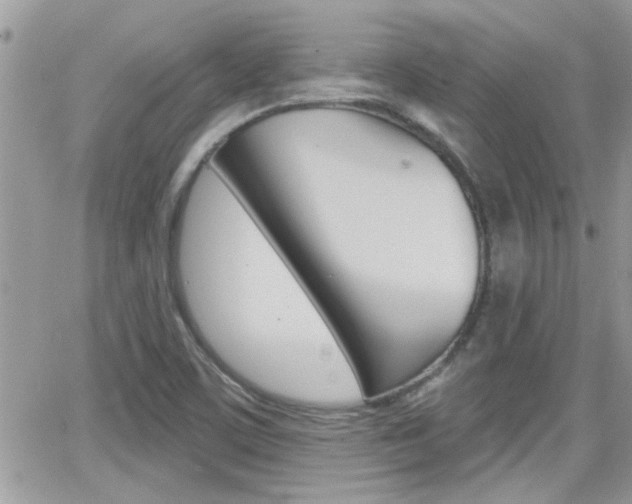 X0000066951459200603240858