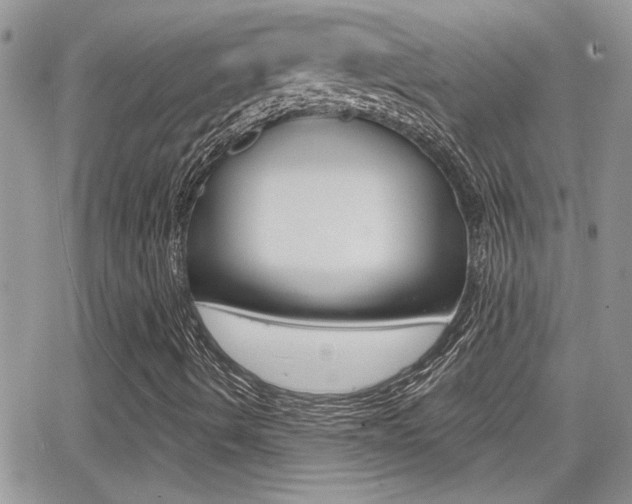 X0000066951490200603240857