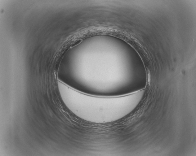 X0000066951492200603240857