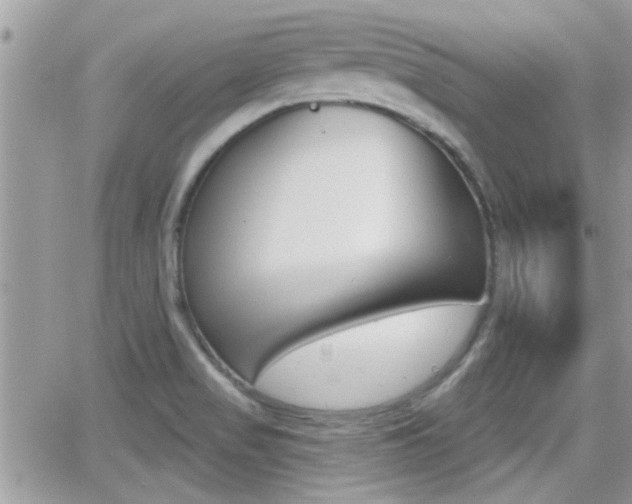 X0000066951517200603240857
