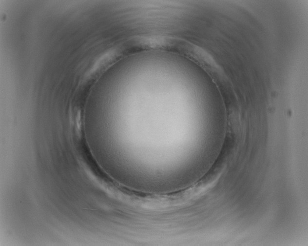 X0000066950024200603241155