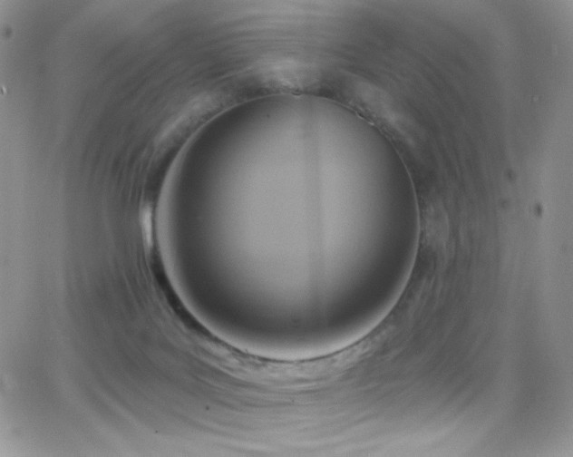 X0000066950027200603241155