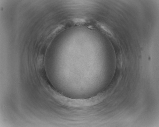 X0000066950034200603241155