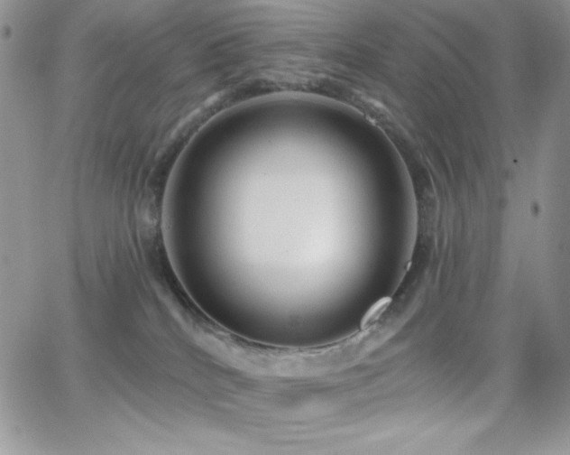 X0000066950040200603241155