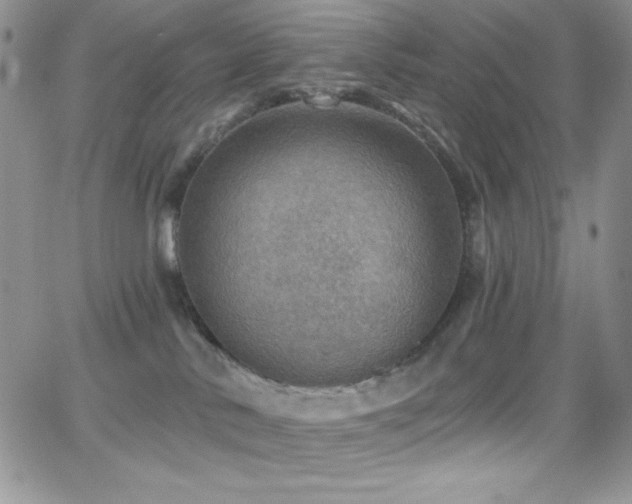 X0000066950042200603241155