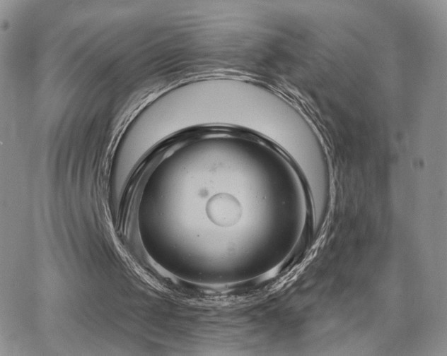 X0000066950049200603241154