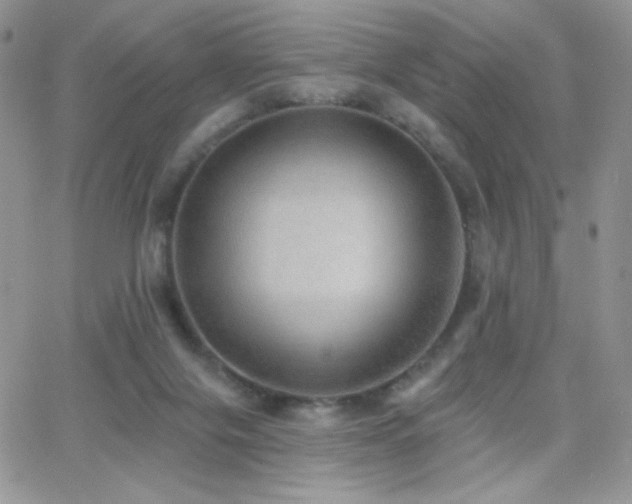 X0000066950071200603241154