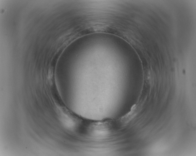 X0000066950082200603241154