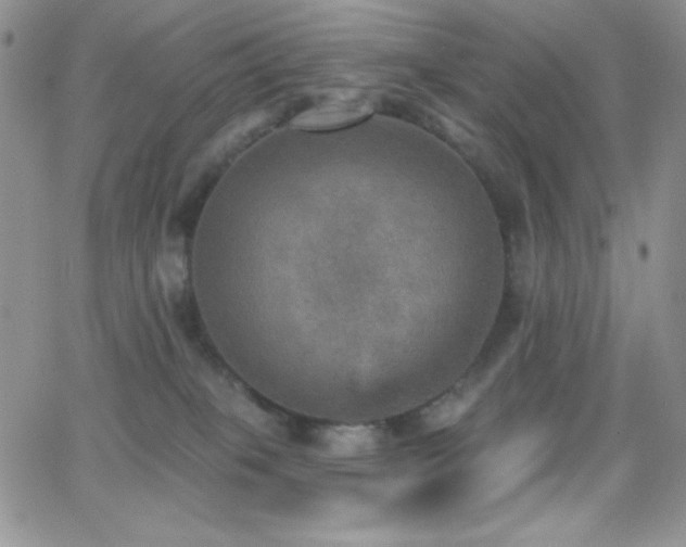 X0000066950085200603241154