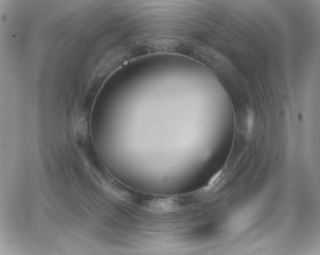 X0000066950086200603241154