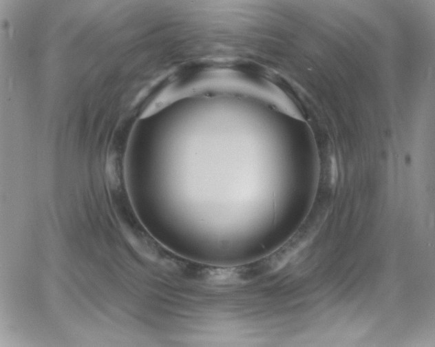 X0000066950088200603241154