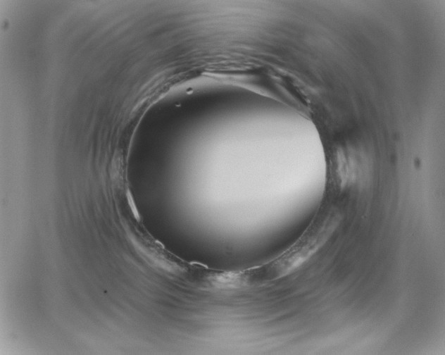 X0000066950092200603241155