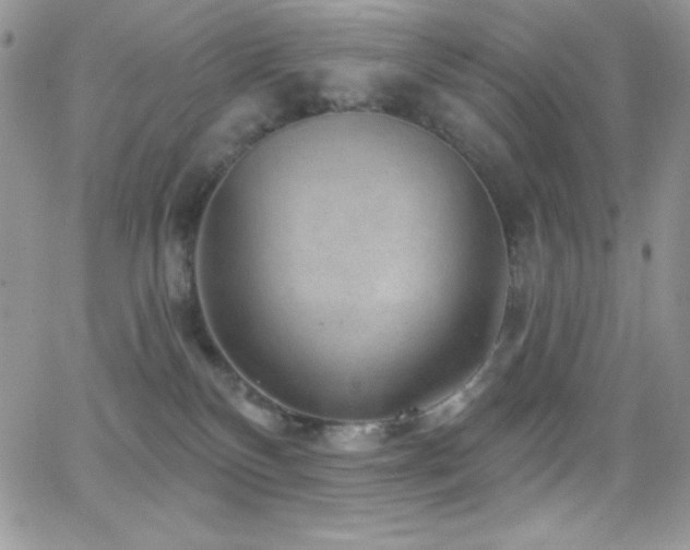 X0000066950136200603241153