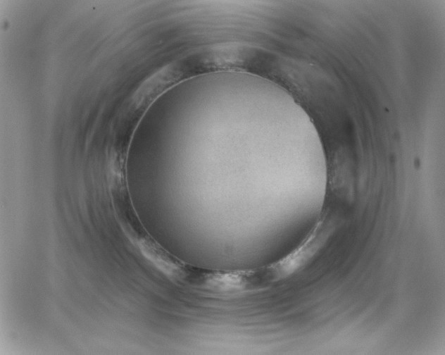 X0000066950140200603241153