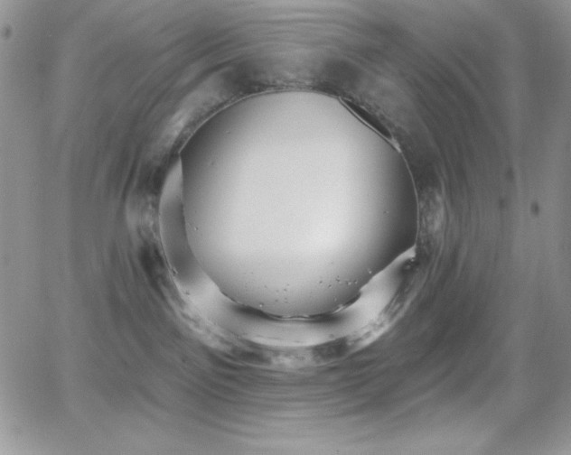 X0000066950141200603241153