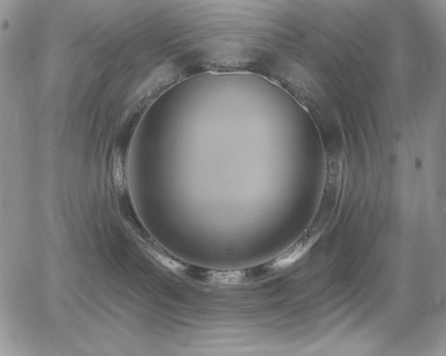 X0000066950143200603241153