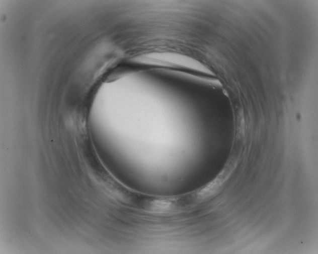 X0000066950176200603241153