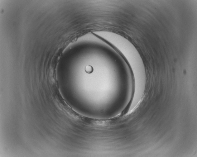 X0000066950187200603241153
