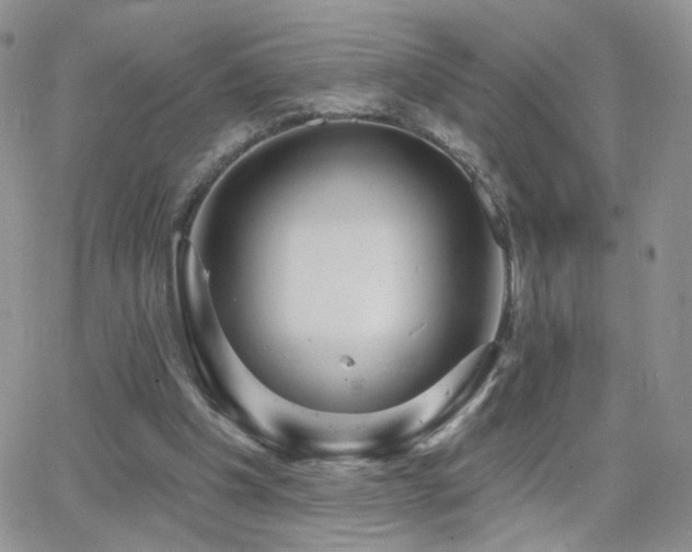 X0000066950201200603241152