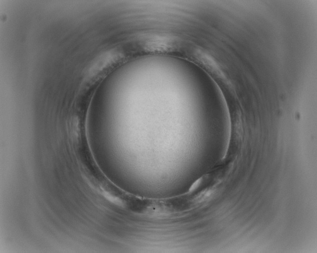 X0000066950211200603241152