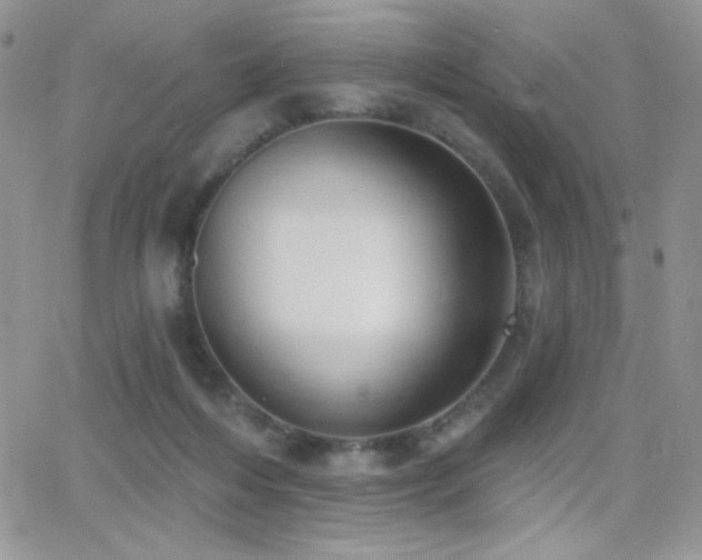 X0000066950216200603241152