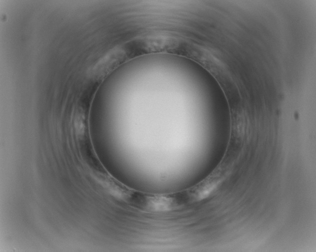 X0000066950226200603241152