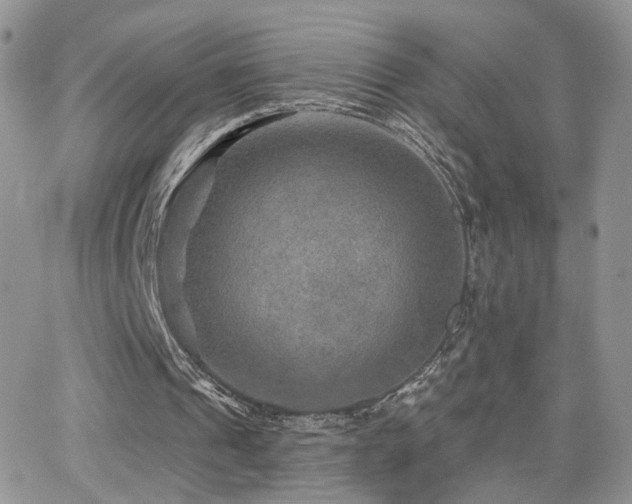 X0000066950241200603241151