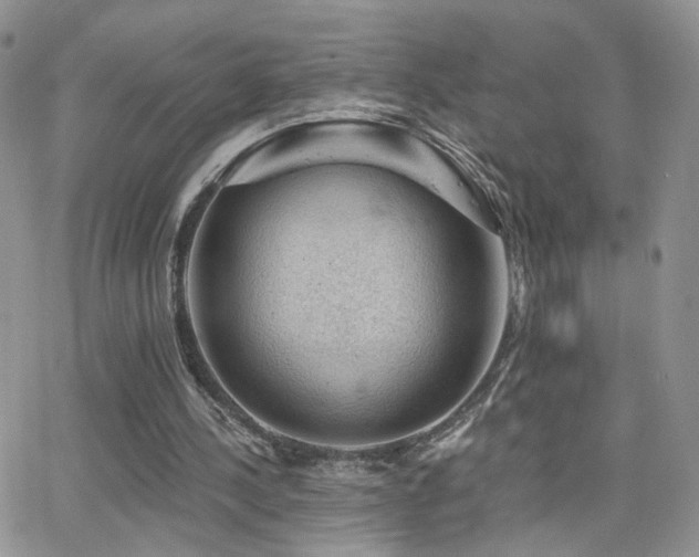 X0000066950244200603241151