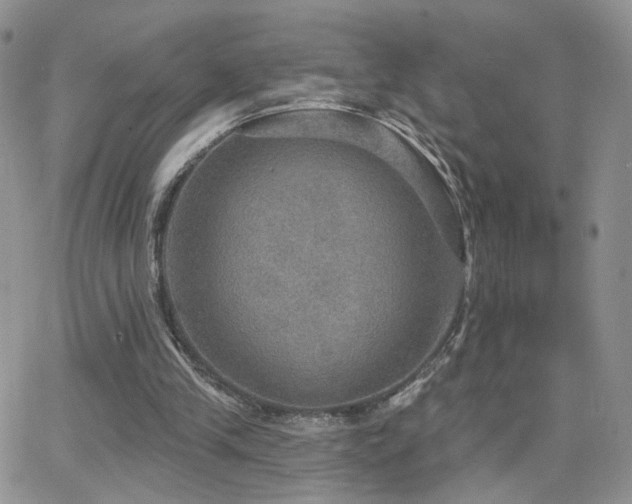X0000066950245200603241151