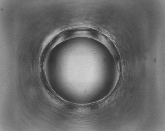 X0000066950248200603241151