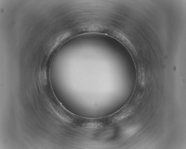 X0000066950251200603241151