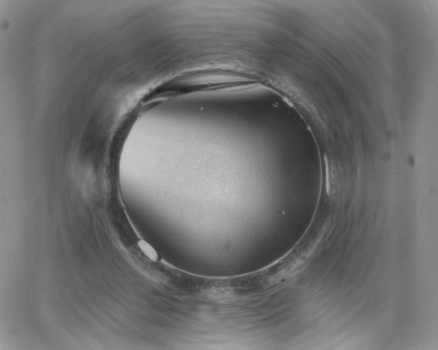 X0000066950252200603241151