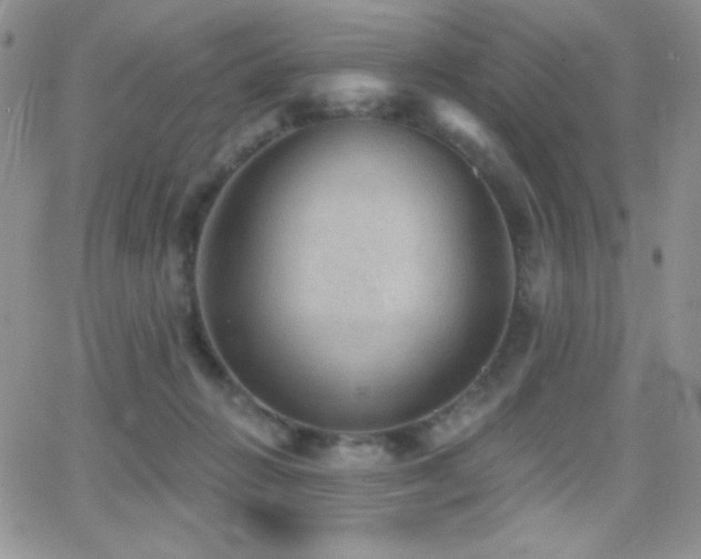 X0000066950270200603241151