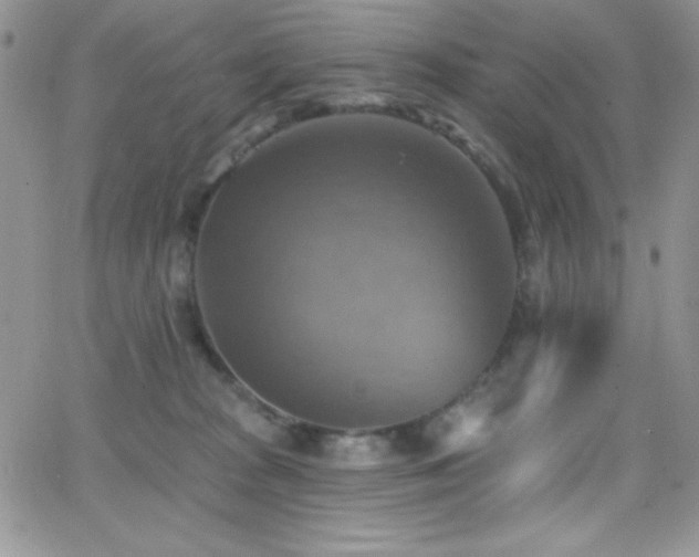 X0000066950277200603241151