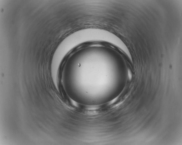 X0000066950287200603241151