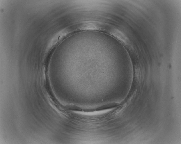 X0000066950302200603241150