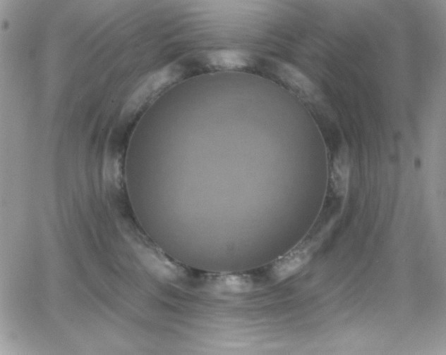 X0000066950330200603241150