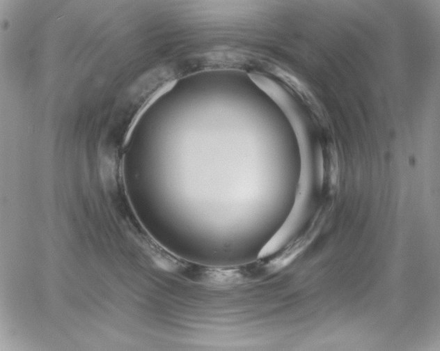 X0000066950333200603241150