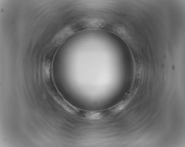 X0000066950334200603241150