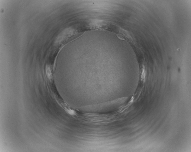 X0000066950335200603241150