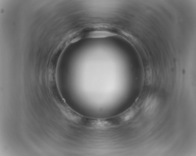 X0000066950379200603241150