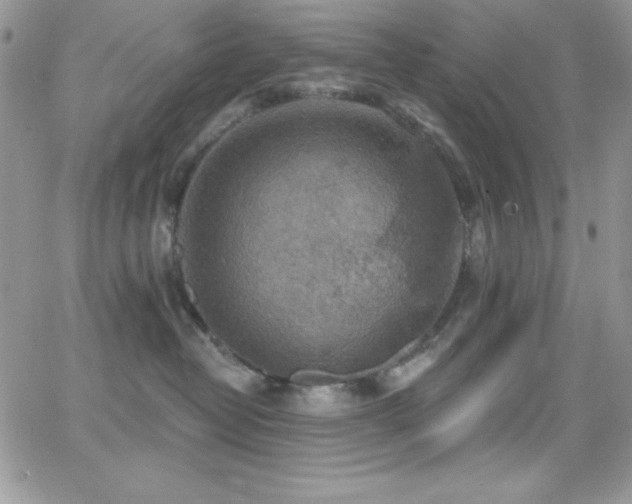 X0000066950382200603241150
