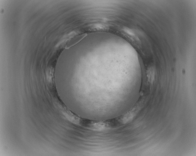 X0000066950423200603241148